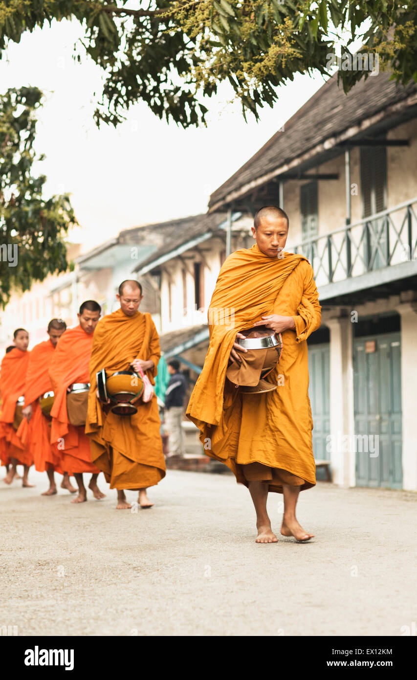 Monks processing for alms in the early morning, a 1,000-year old tradition in Luang Prabang, Laos.. Stock Photo