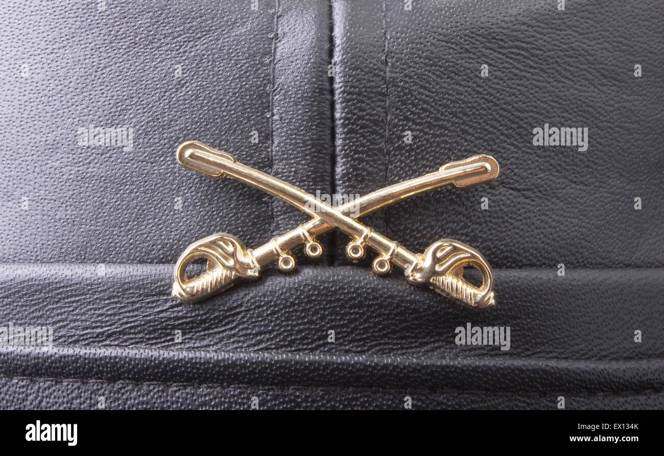 Macro shot of cavalry insignia on a leather cap Stock Photo