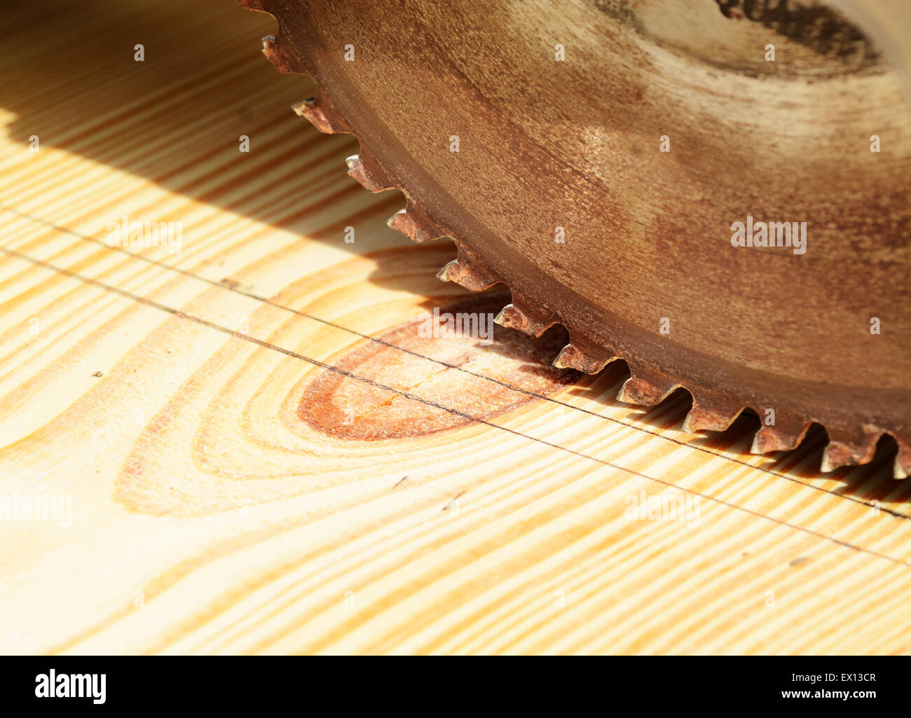 Macro shot of a table saw blade over a pine wood board Stock Photo