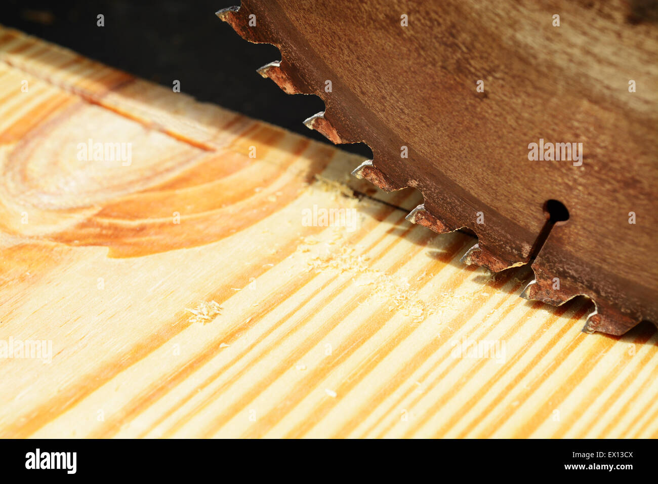 Macro shot of a table saw blade over a pine wood board Stock Photo