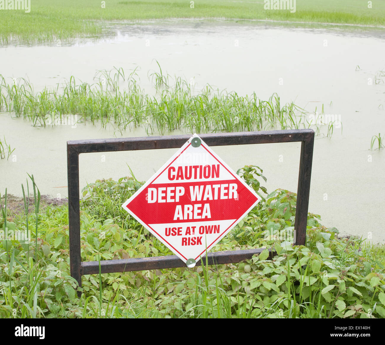 Deep water caution sign in wetland area. Stock Photo