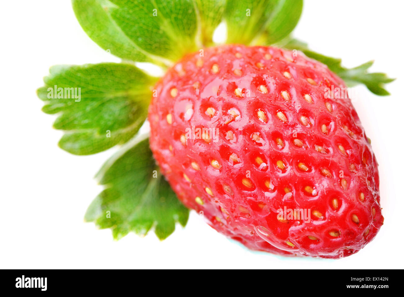 Macro shot of a single strawberry on a white background Stock Photo - Alamy