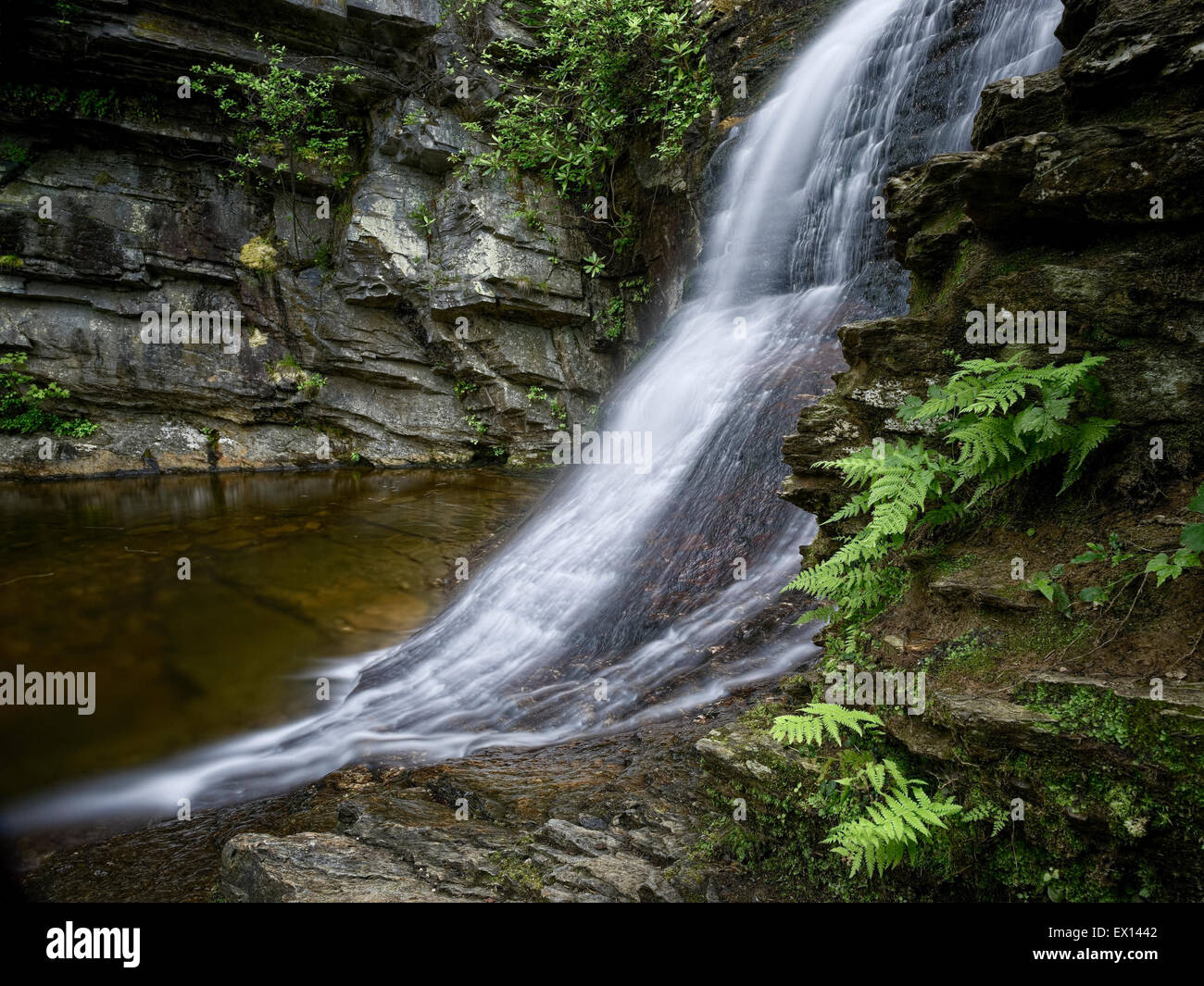 Hanging Rock State Park Lower Cascades Waterfalls. Danbury, North Carolina. Scenic waterfall Stock Photo