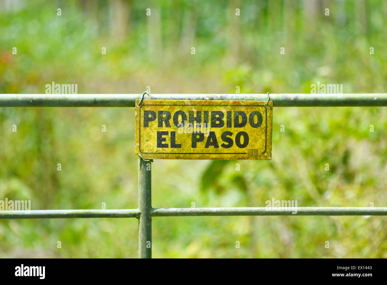 No trespassing sign on a metal door written in spanish Stock Photo