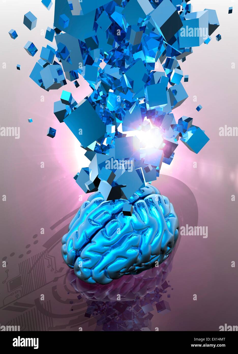 Neuromorphic engineering, conceptual illustration Stock Photo Alamy