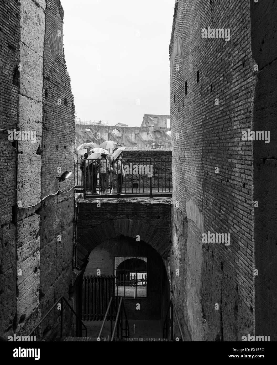 Coliseum in Rome Stock Photo