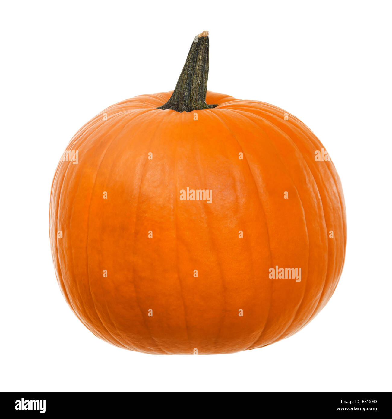 Stock image of orange pumpkin over white background Stock Photo - Alamy