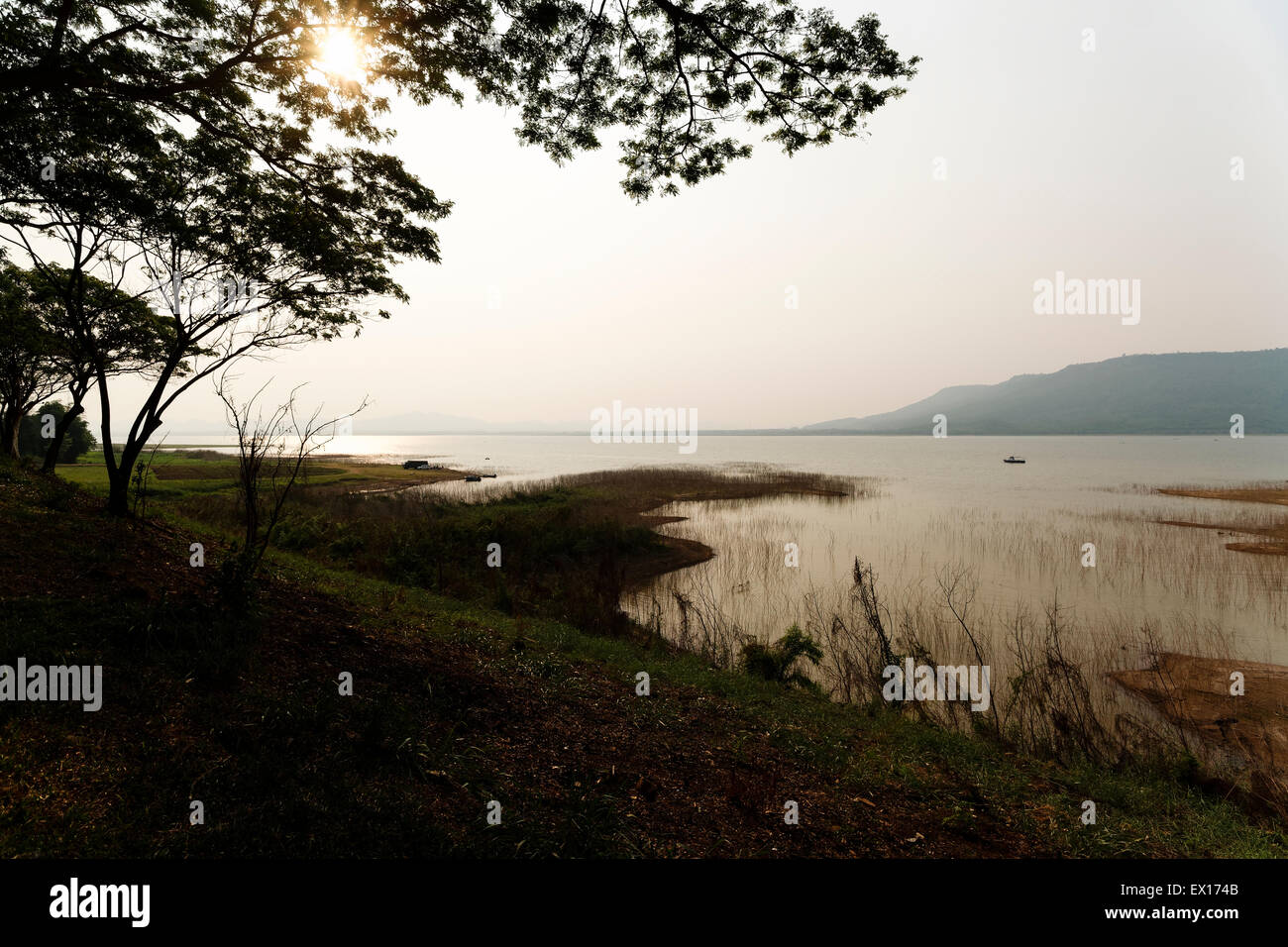 Lam Ta Kong reserve in Pakchong district, Thailand Stock Photo - Alamy