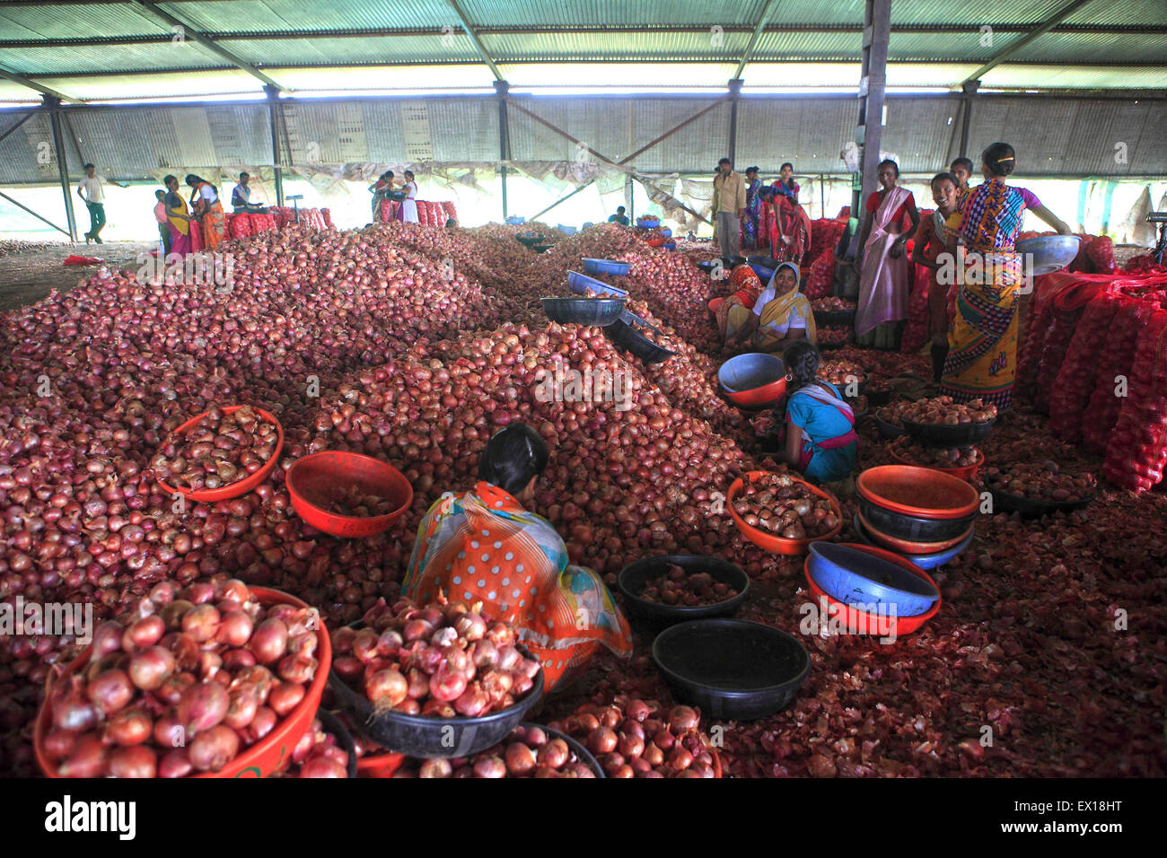 Maharashtra, India. 26th Sep, 2013. 26 sept. 2013 : Lasalgaon, INDIA ...