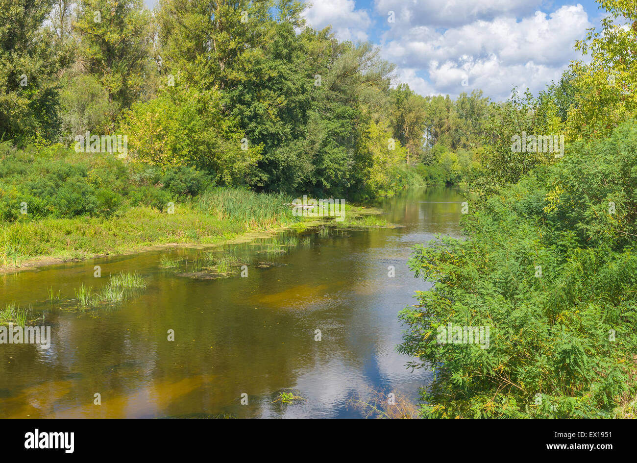 Ukrainian river Vorskla at summer season Stock Photo