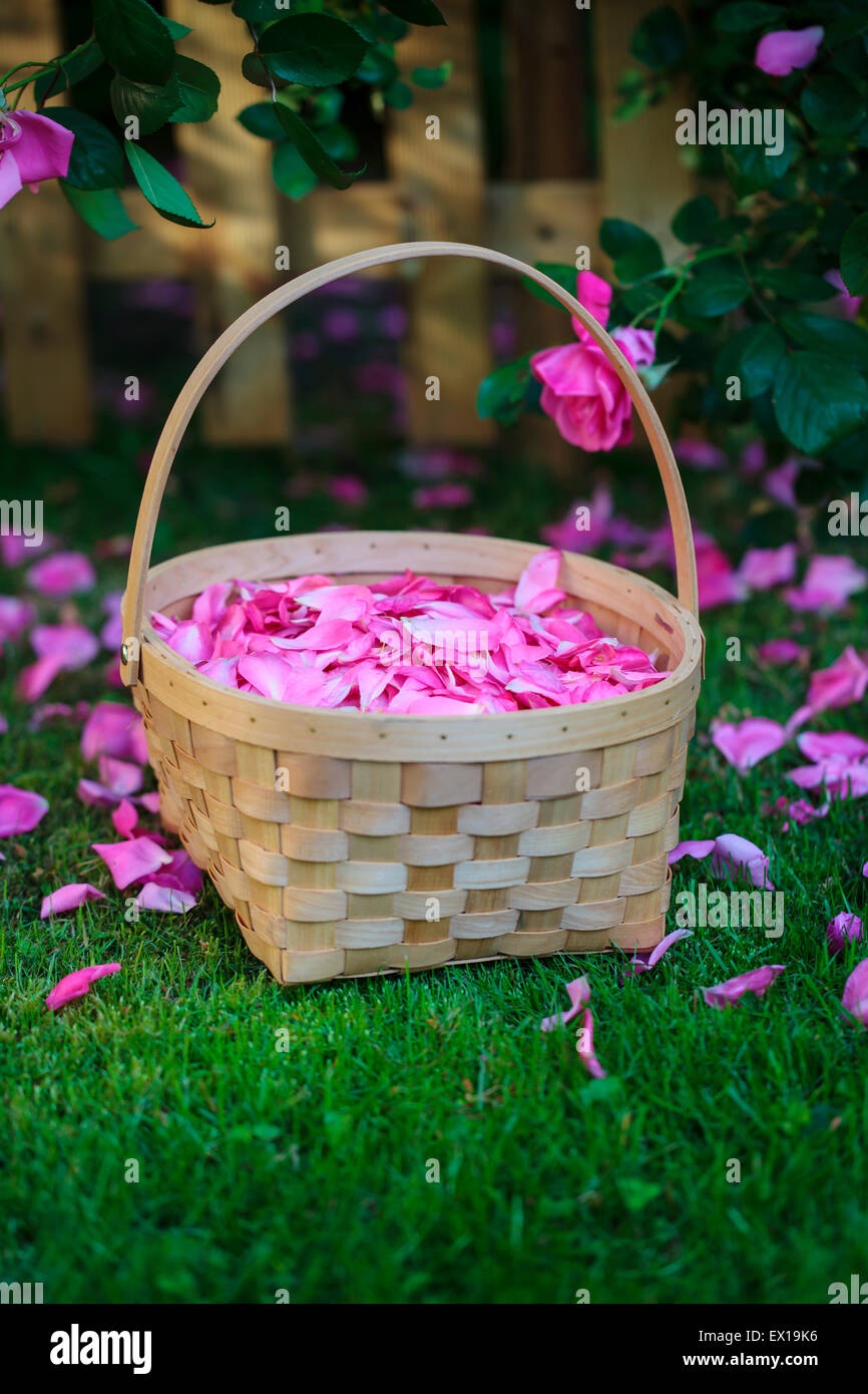 Rose Petals in Basket Rose Petals in Basket
