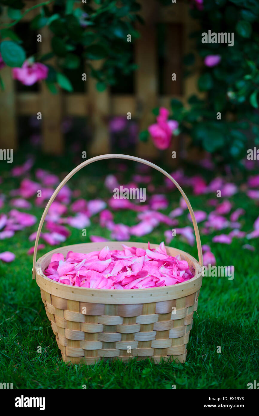 rose petal basket for wedding
