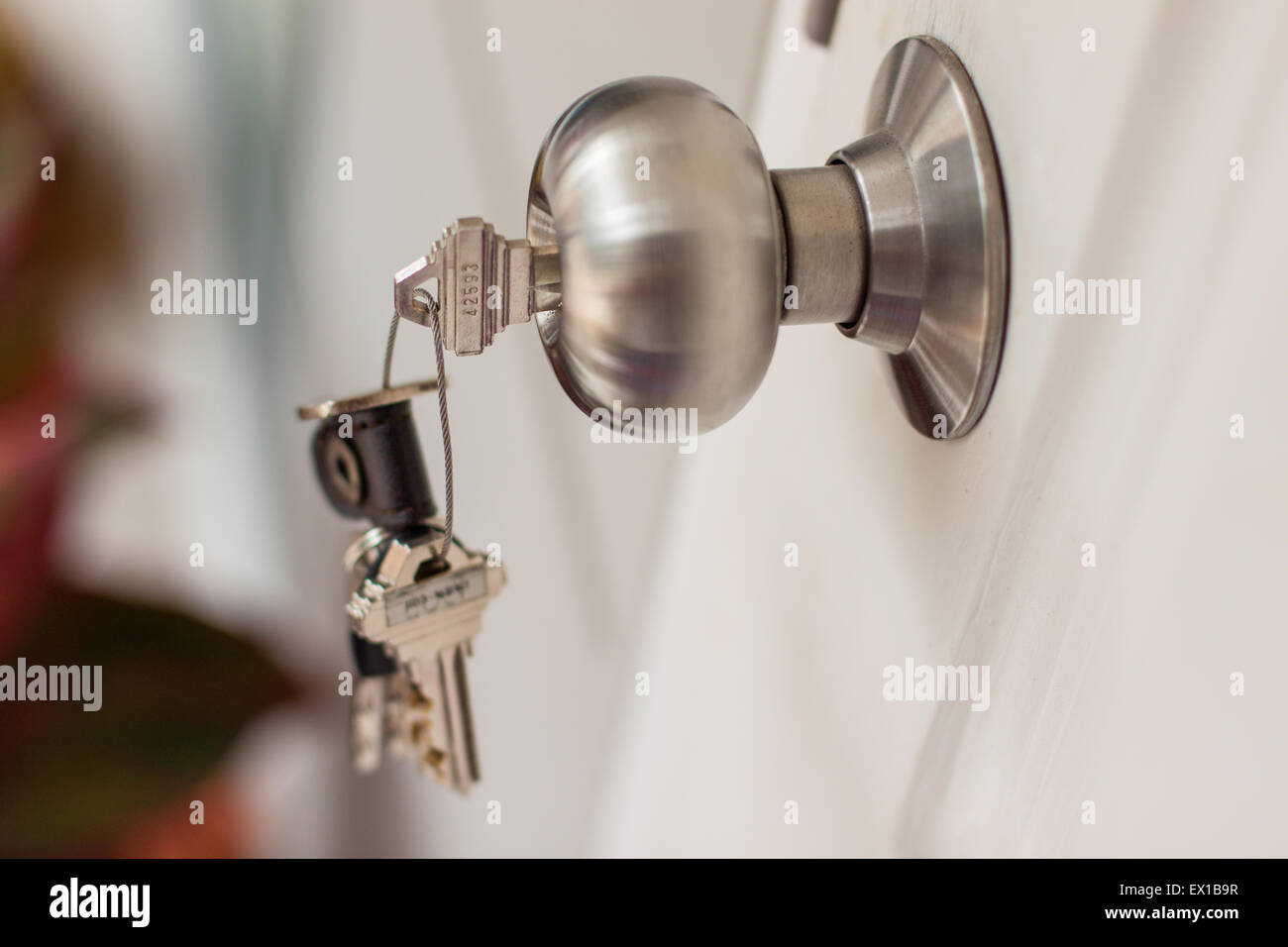 knob and key Stock Photo Alamy