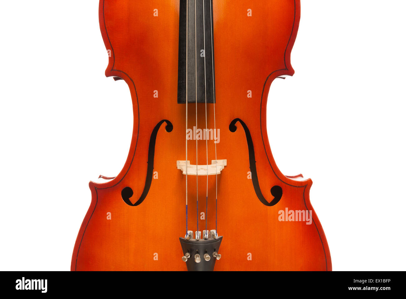 Beautiful violoncello body in vertical position Stock Photo