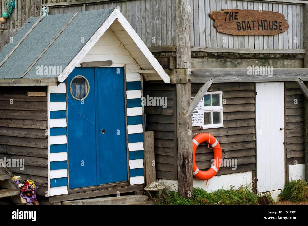 Steephill Cove near Ventnor, Isle of Wight England UK Europe Stock Photo