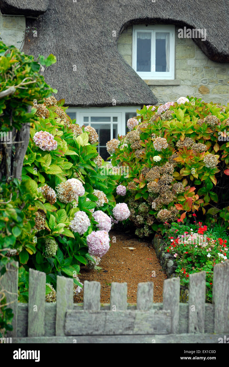 Cottage at Steephill Cove near Ventnor, Isle of Wight England UK Europe Stock Photo