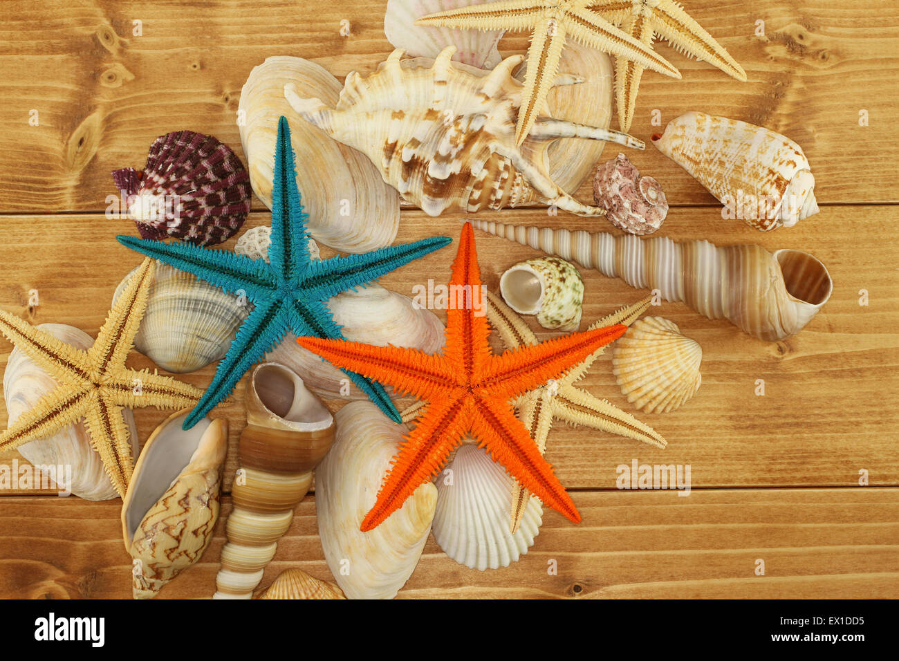 Sea shells and Starfishes on brown wooden background Stock Photo - Alamy