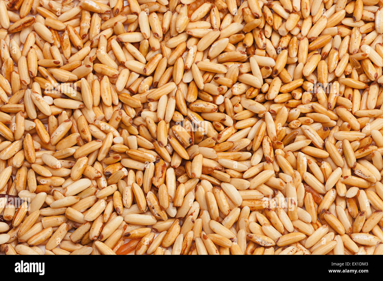 Fried polished rice seed closeup background Stock Photo
