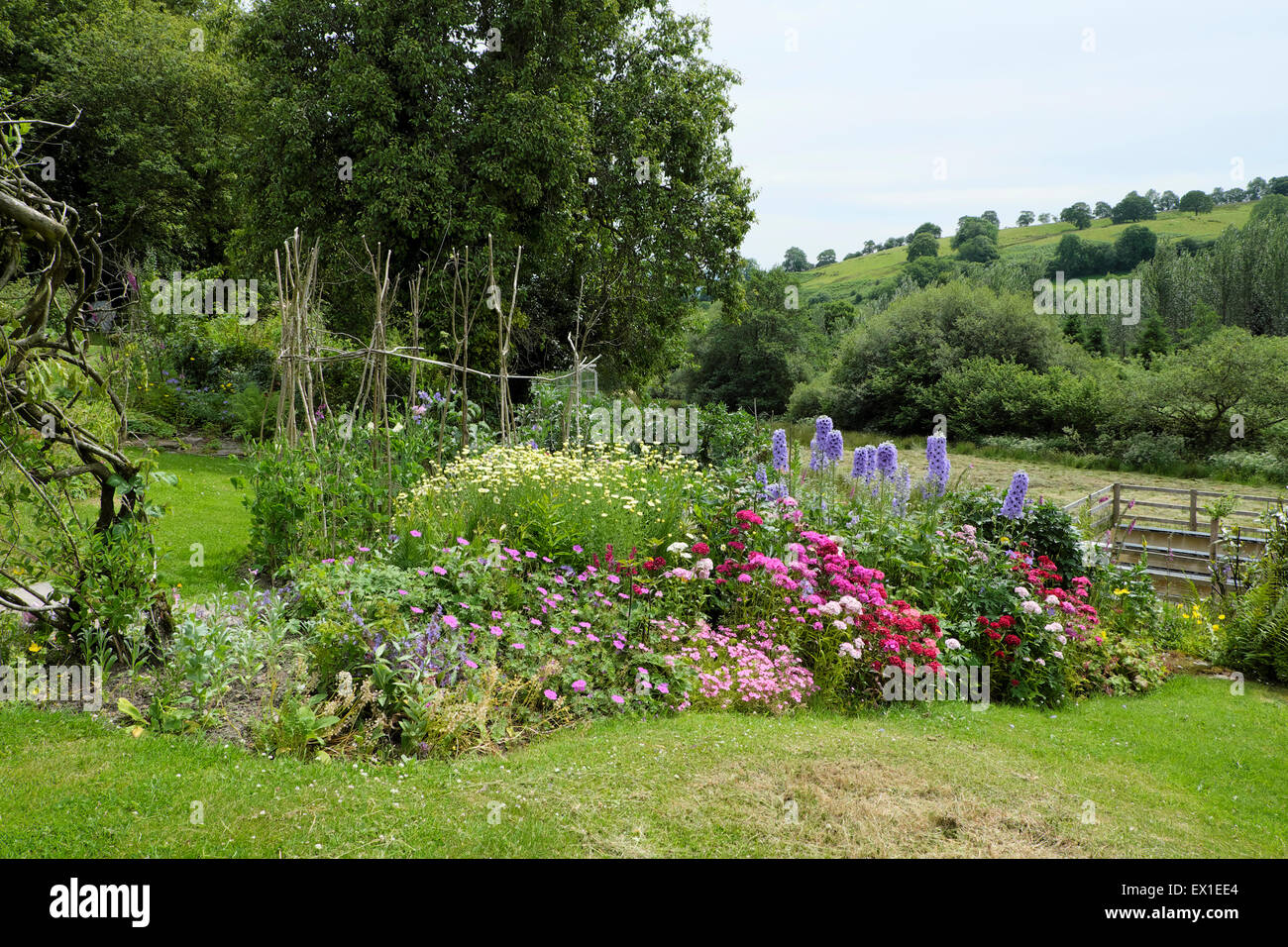 Beautiful cottage garden perennials in a herbaceous flower border in a rural country garden Carmarthenshire West Wales UK  KATHY DEWITT Stock Photo