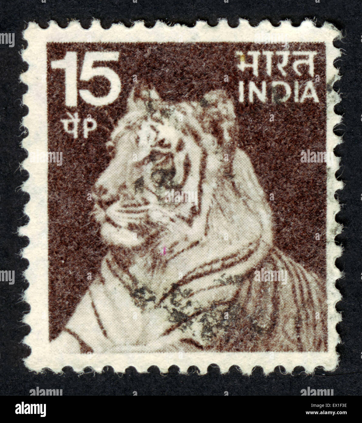 Tiger Stamps Are Here to Stay!*