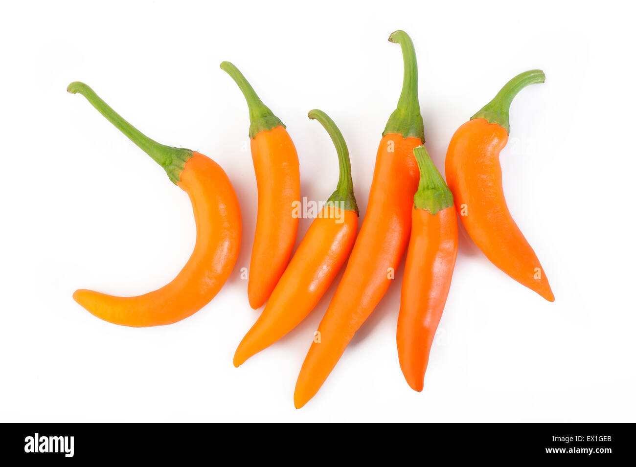 Hot chili peppers isolated on white background Stock Photo - Alamy