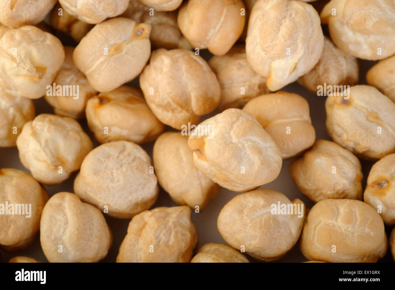 garbanzo beans background Stock Photo