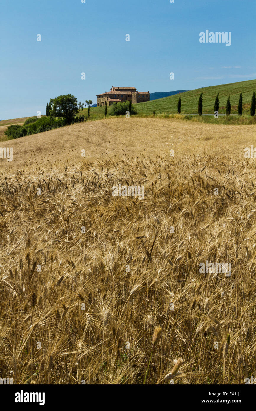 Farm Holiday in the Tuscan Country Stock Photo
