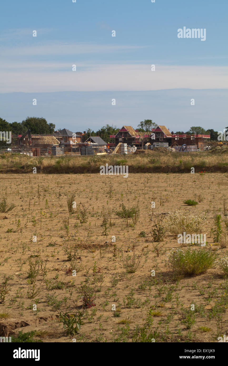 Stalham green hires stock photography and images Alamy