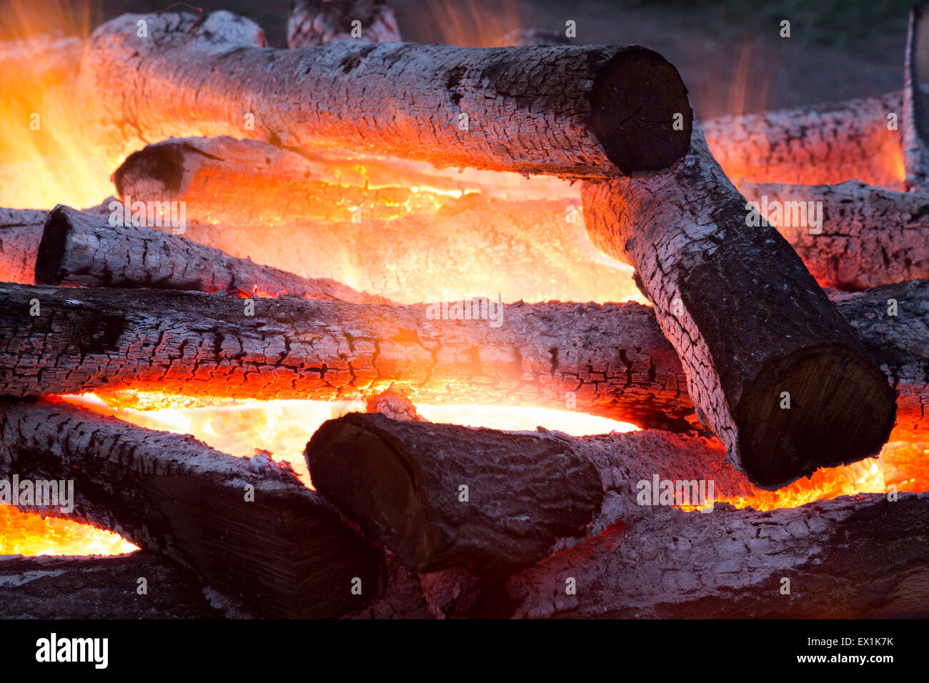 Bonfire in the forest during night at the summertime Stock Photo - Alamy