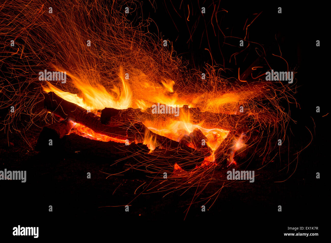 Bonfire in the forest during night at the summertime Stock Photo - Alamy