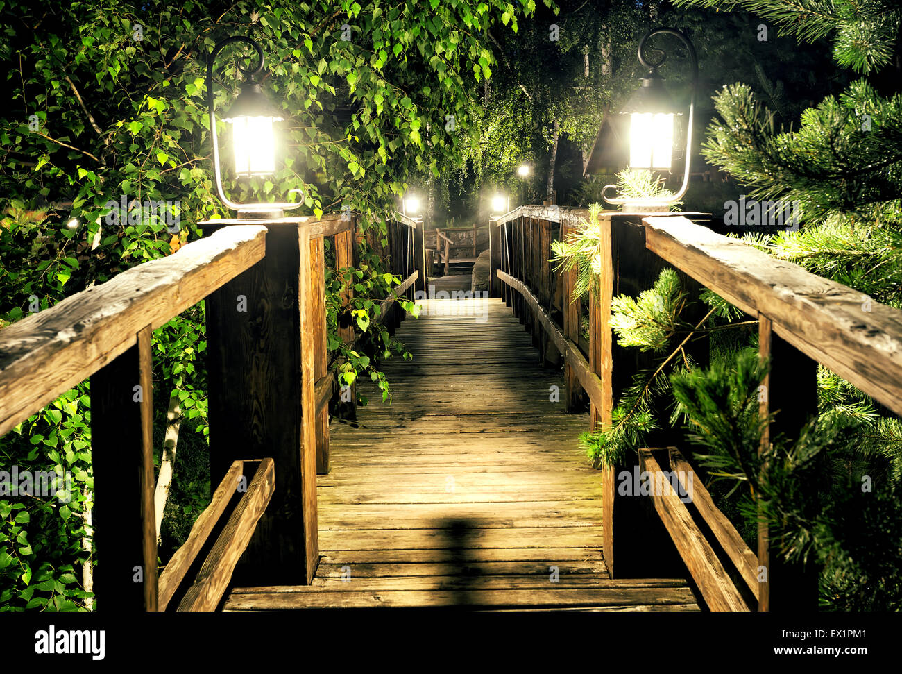 Wooden bridge among trees in hi-res stock photography and images - Alamy