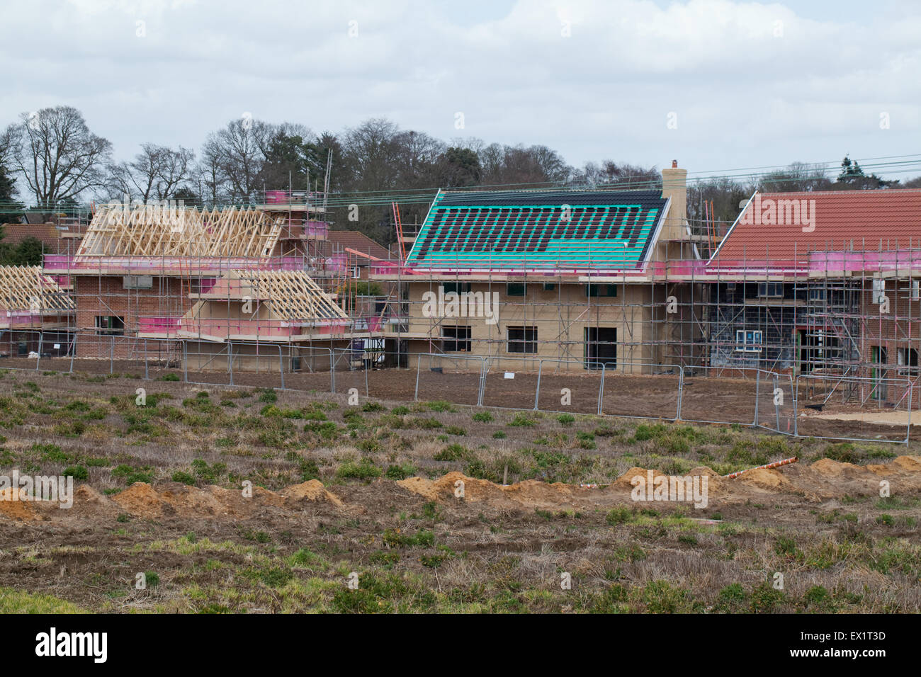 New Housing Development. Wroxham. Broadland. Norfolk. Greenfield site