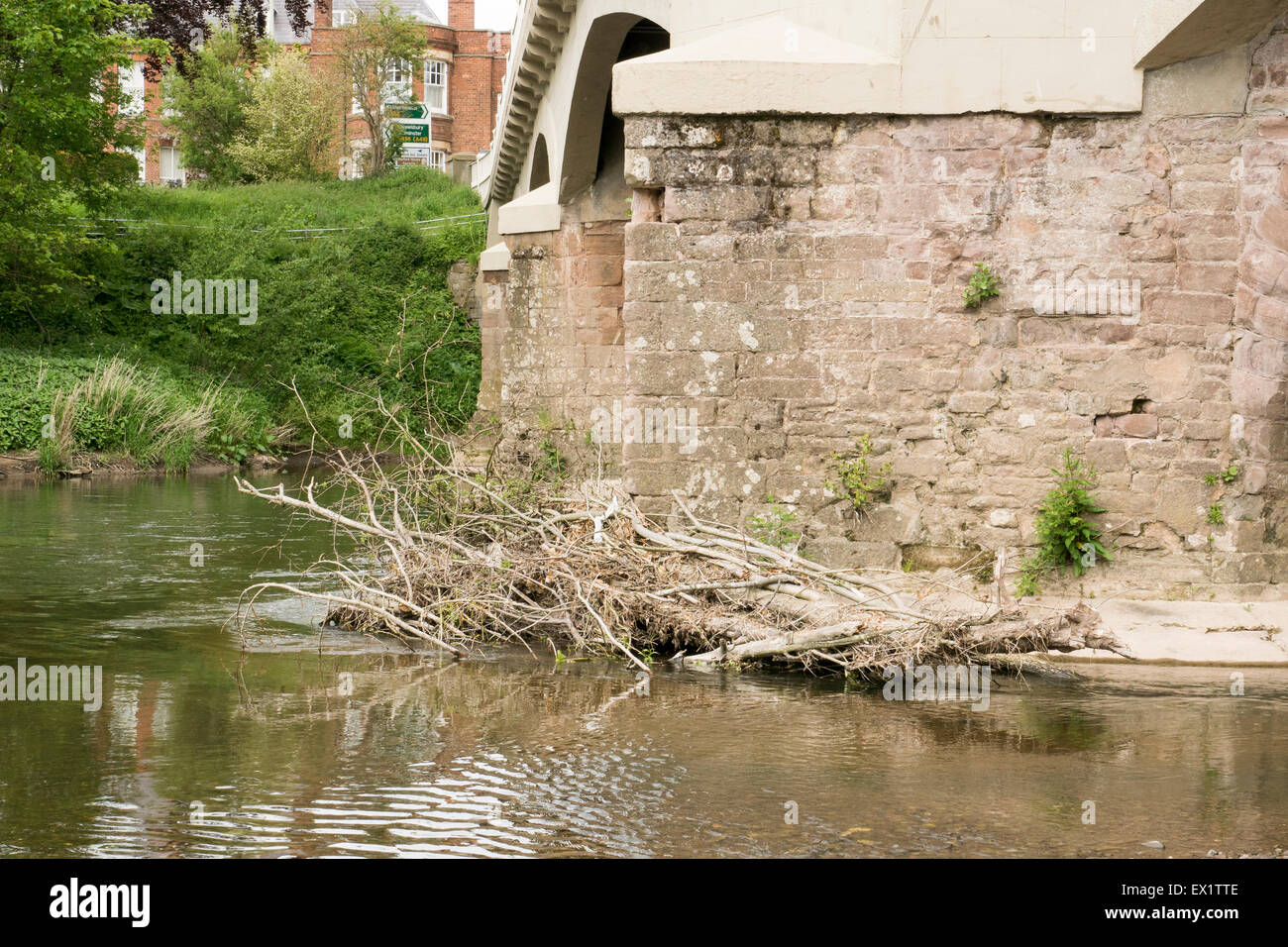 Bridge across the river Teme Tenbury Wells Stock Photo Alamy