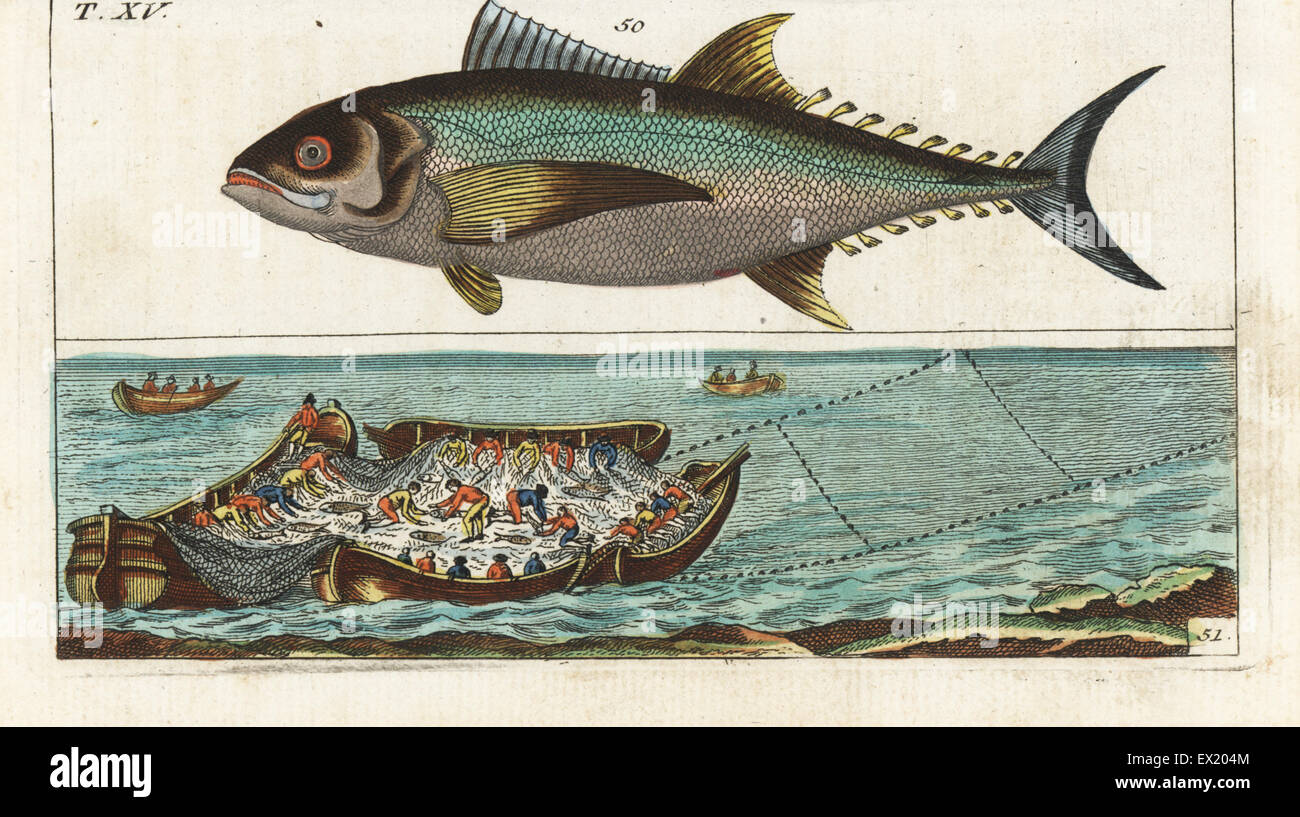 History of tuna fishing hi-res stock photography and images - Alamy