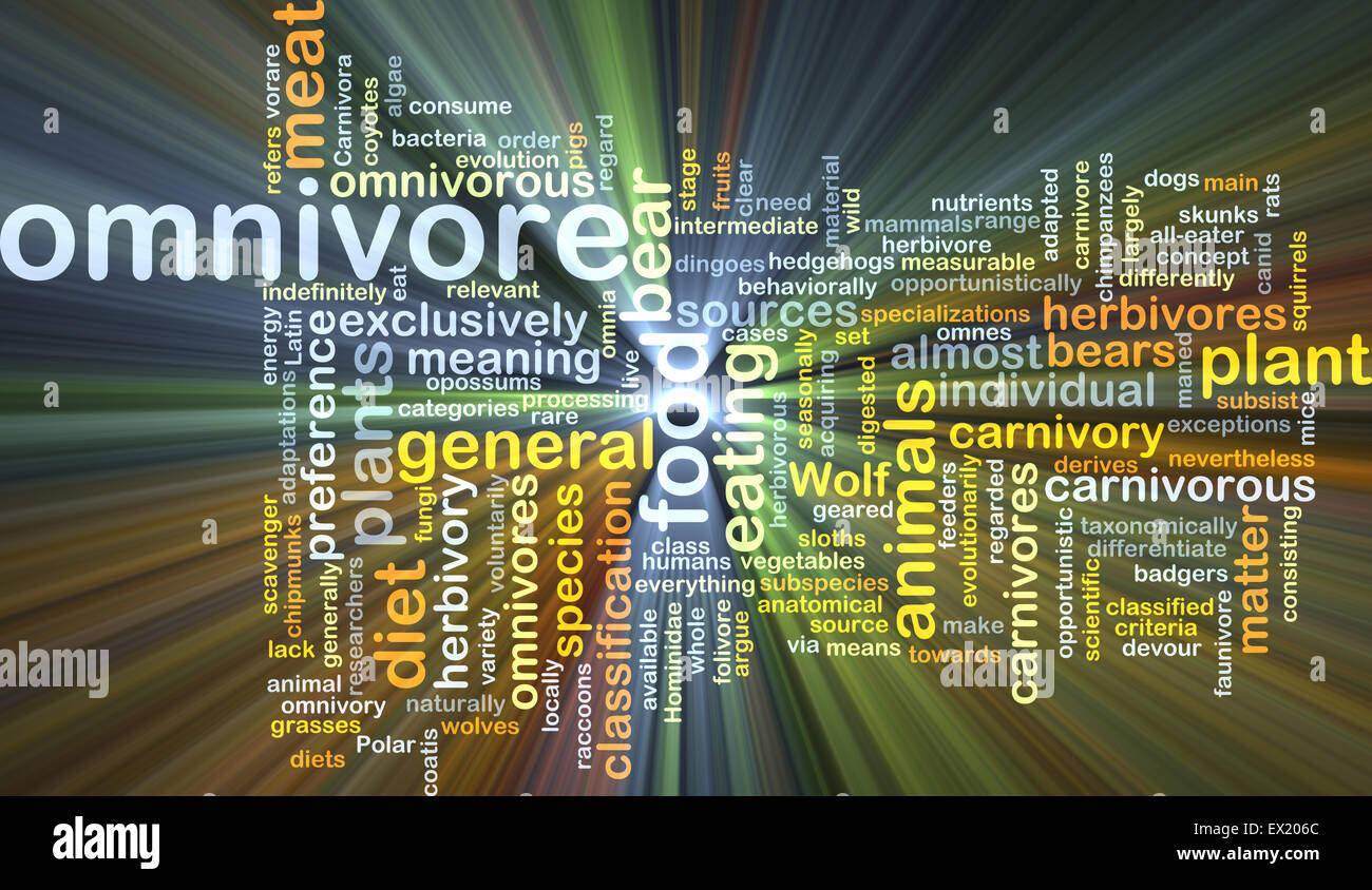 Background concept wordcloud illustration of omnivore glowing light Stock Photo