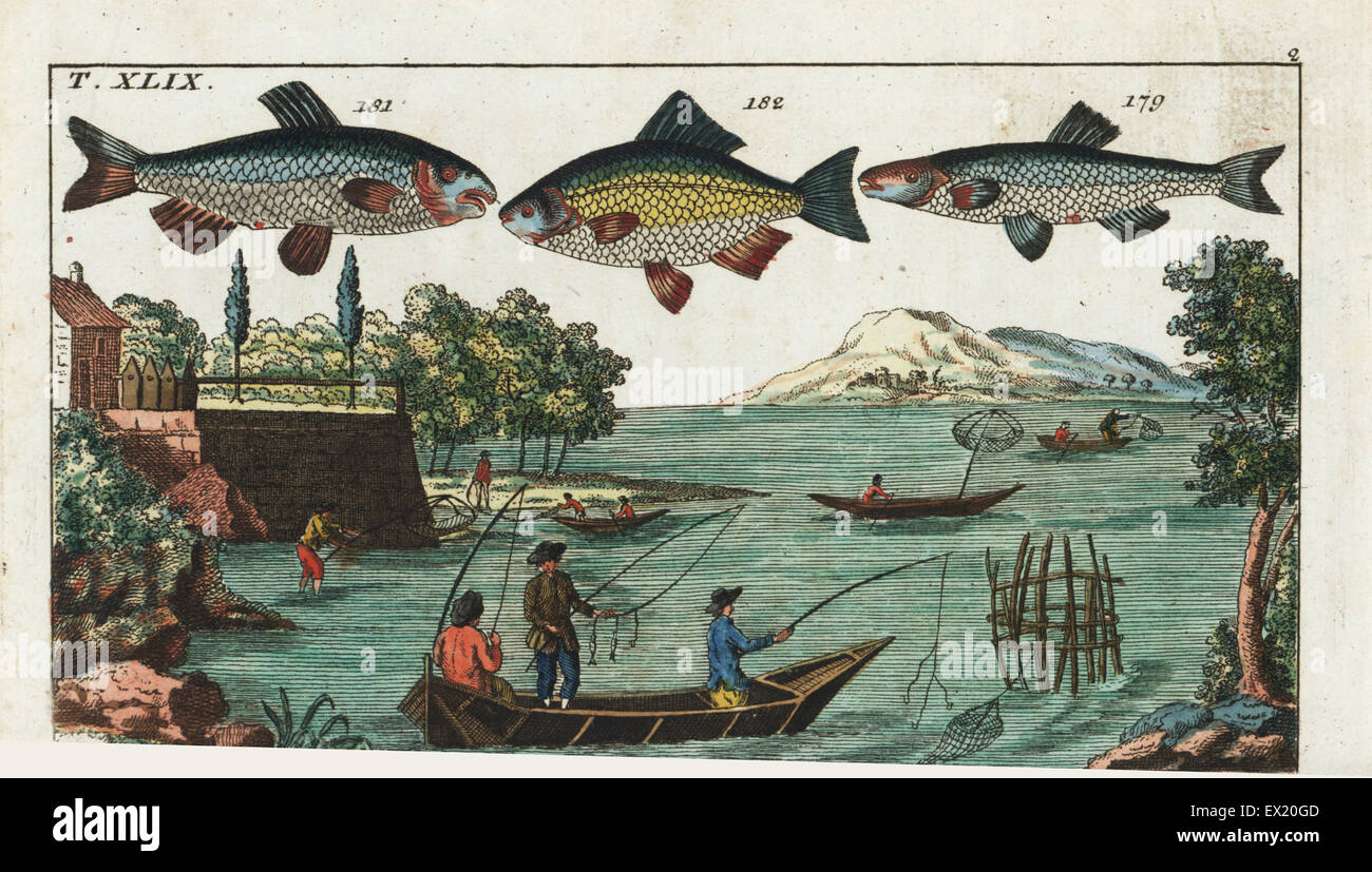 Alver, Alburnus alburnus 179, nase, Chondrostoma nasus 181, Prussian carp, Carassius gibelio 182, and fishermen enjoying fishing on the Seine at Paris with rod, line, hook and nets. Handcolored copperplate engraving after Jacob Nilson from Gottlieb Tobias Wilhelm's Encyclopedia of Natural History: Fish, Augsburg, 1804. Wilhelm (1758-1811) was a Bavarian clergyman and naturalist known as the German Buffon. Stock Photo