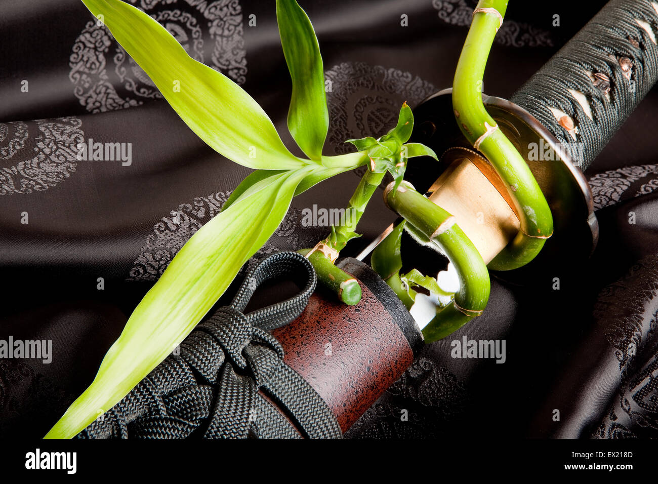 Bamboo sprout growing around a japanese samurai sword Stock Photo Alamy