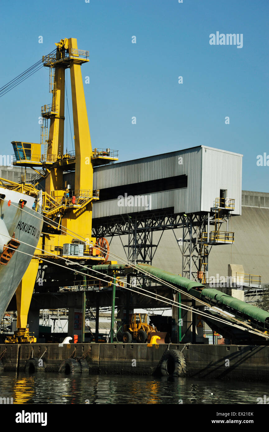 Conveyor belt infrastructure for material handling onto bulk cargo