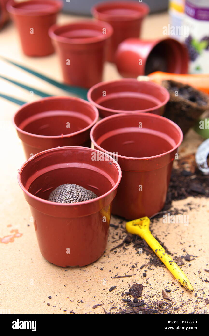 Small new pot plants ready to use for growing seedlings Stock Photo Alamy