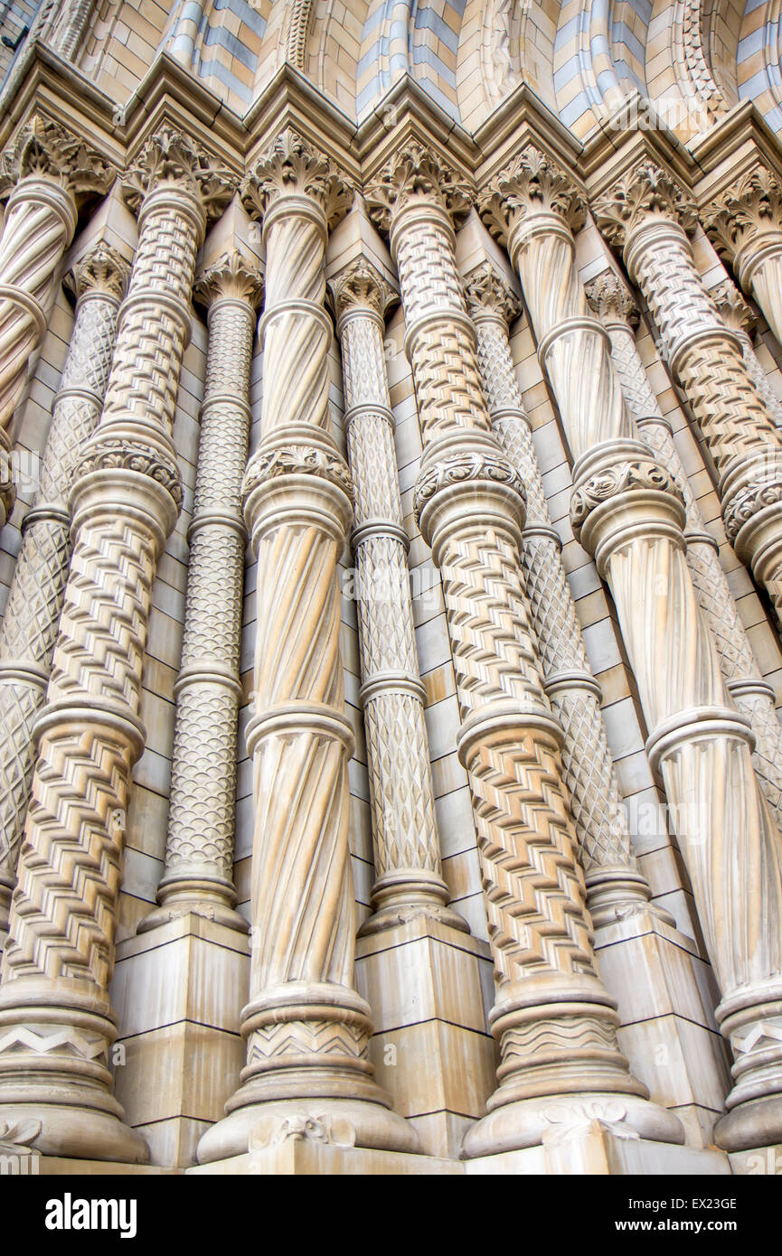 Columns of Natural History Museum in London Stock Photo - Alamy