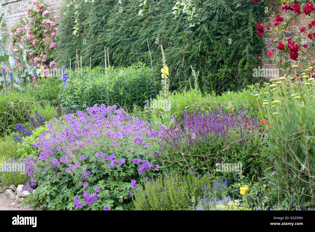 Classical herbaceous border in a walled Garden Stock Photo