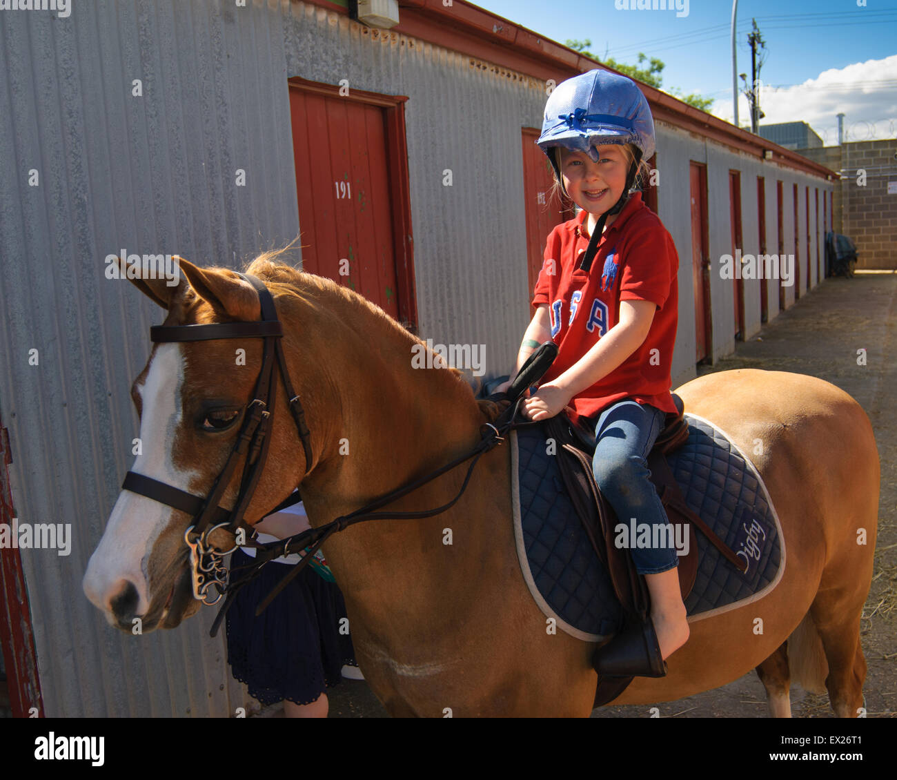 Preparing horses to the show at Royal Adelaide Show,  South Australia. Stock Photo