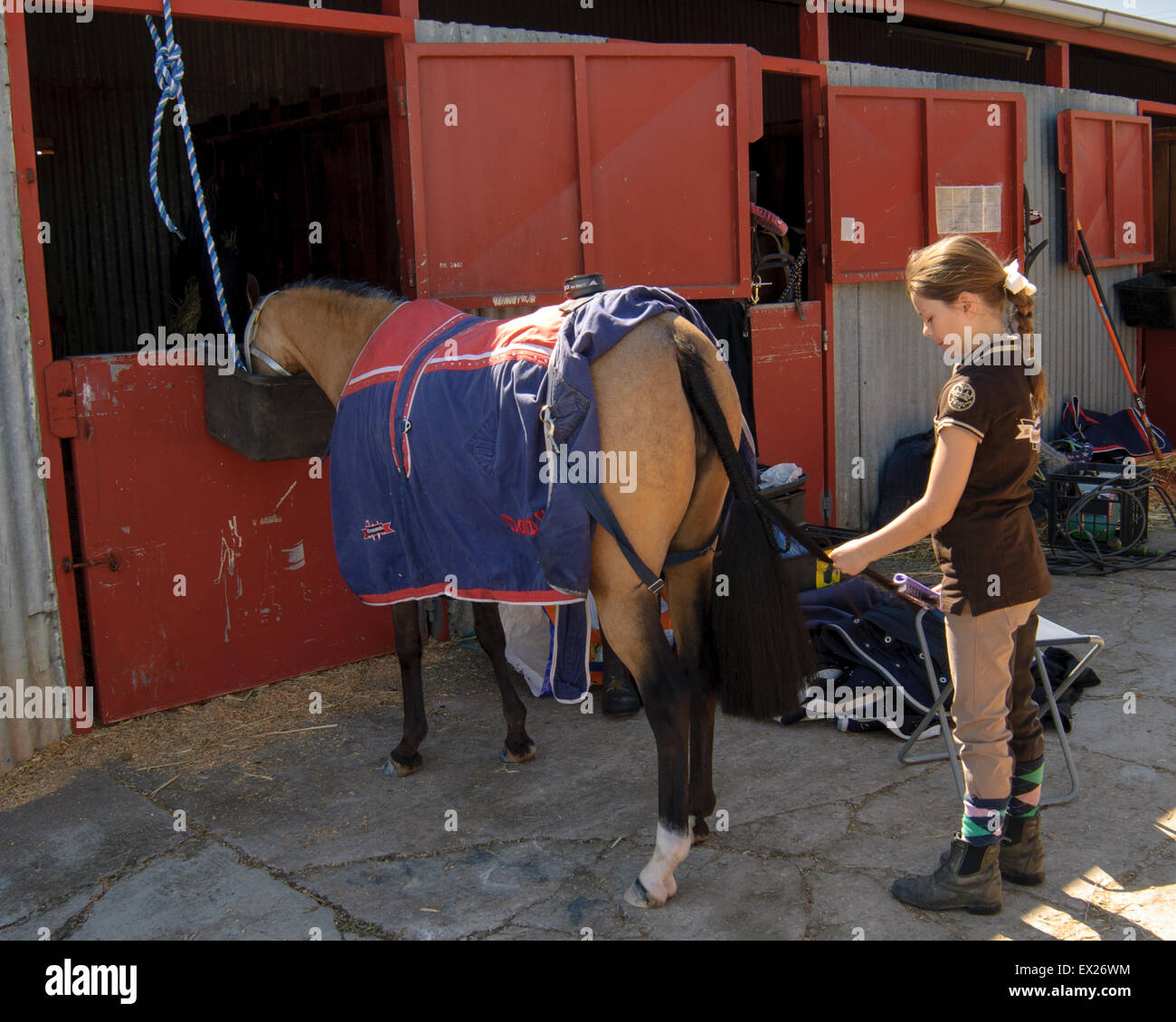 Horse display arena hires stock photography and images Alamy