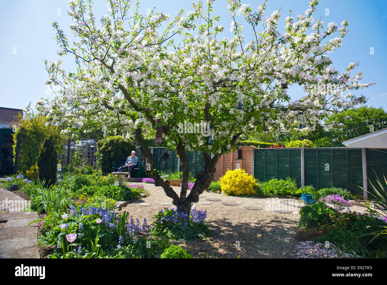 Old man sitting garden rear hi-res stock photography and images - Alamy