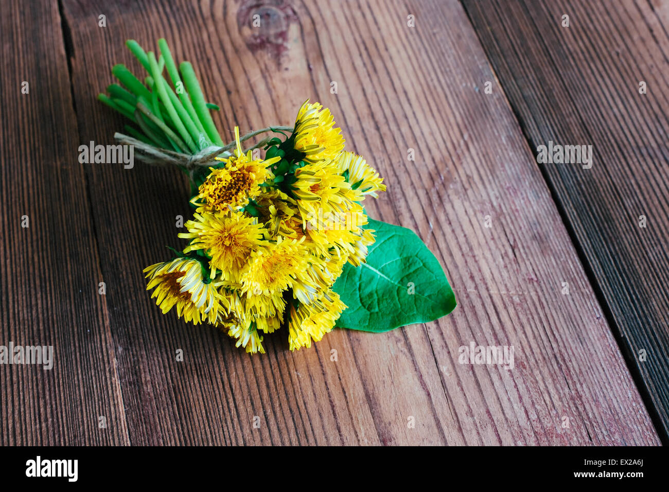 Yellow dandelion wooden background herbal string bouquet Stock Photo ...