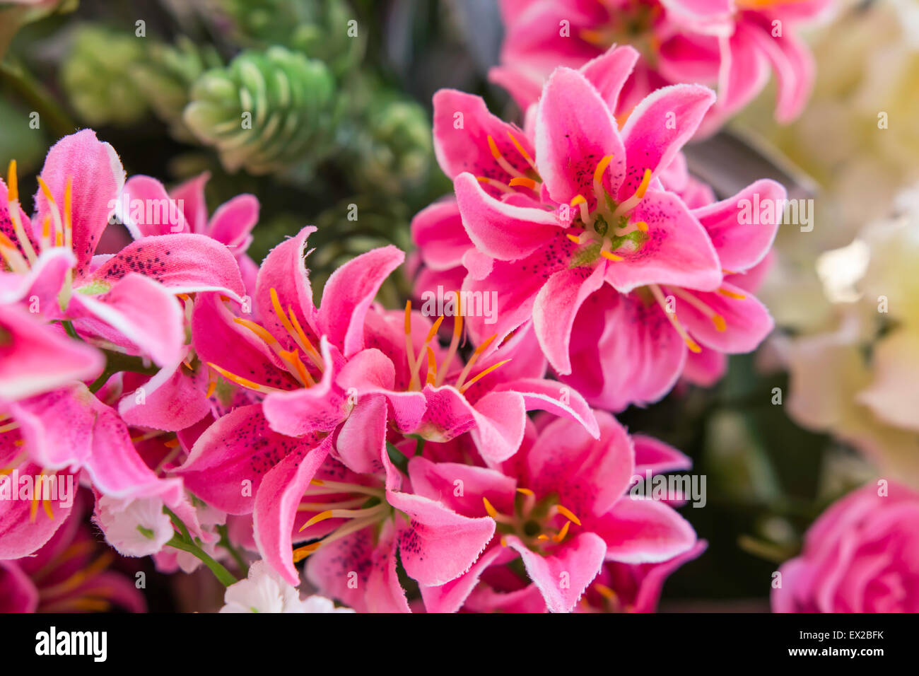 artificial flowers bloom Stock Photo Alamy