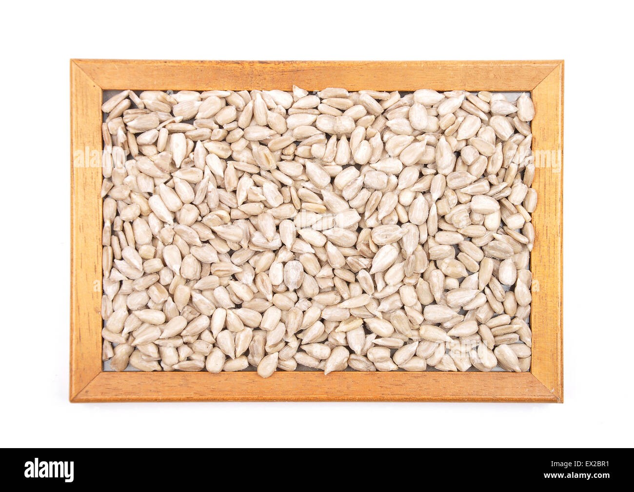 Sunflower seeds background Stock Photo Alamy