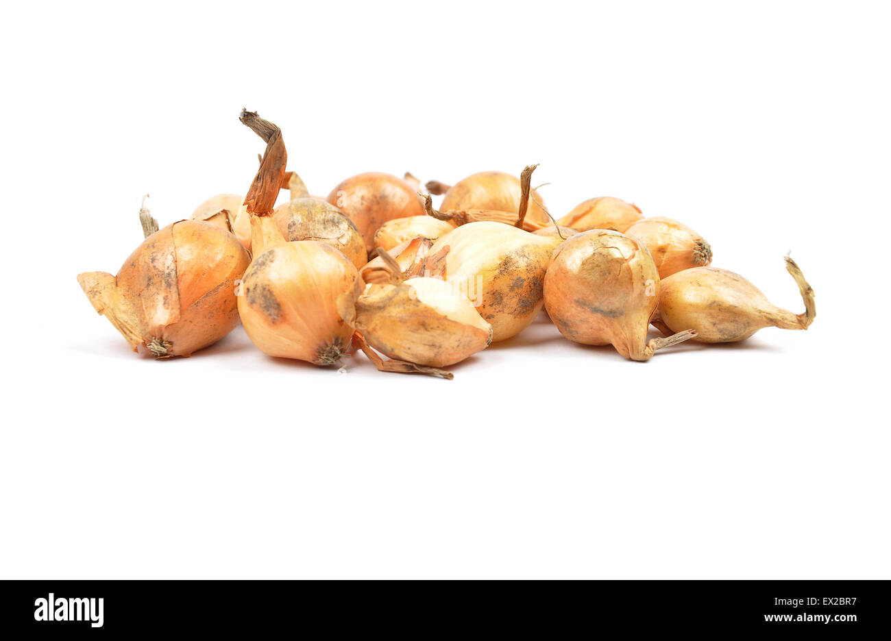 Plant onion sets hi-res stock photography and images - Alamy