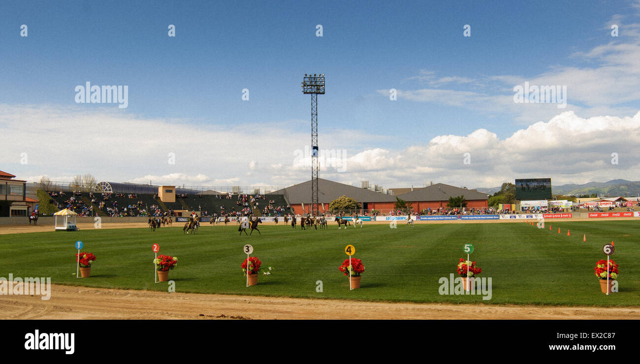 Adelaide oval crowd hi-res stock photography and images - Alamy