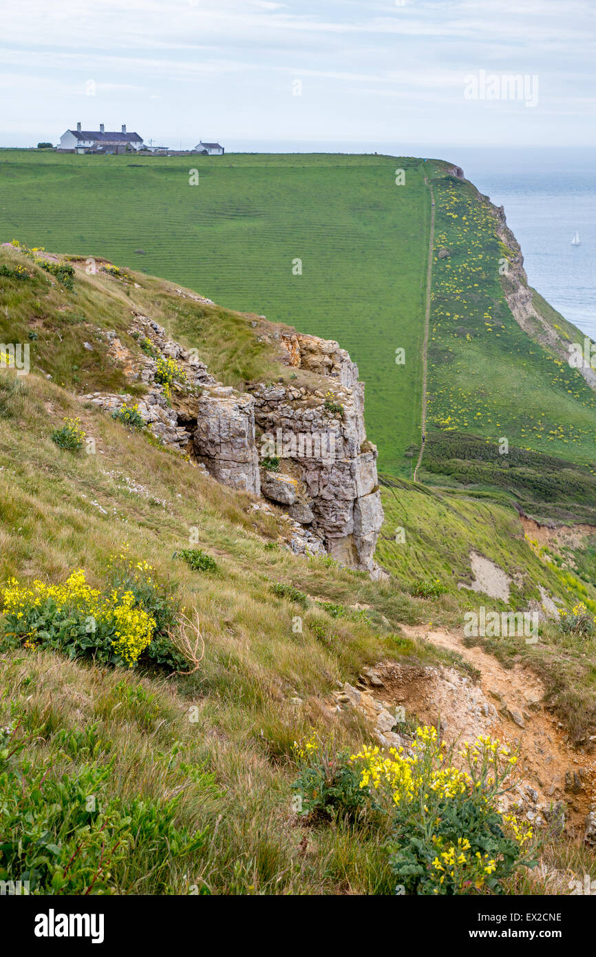 Coastal path at St Aldhelm's head near Worth Matravers village on the Dorset Jurassic coast Stock Photo
